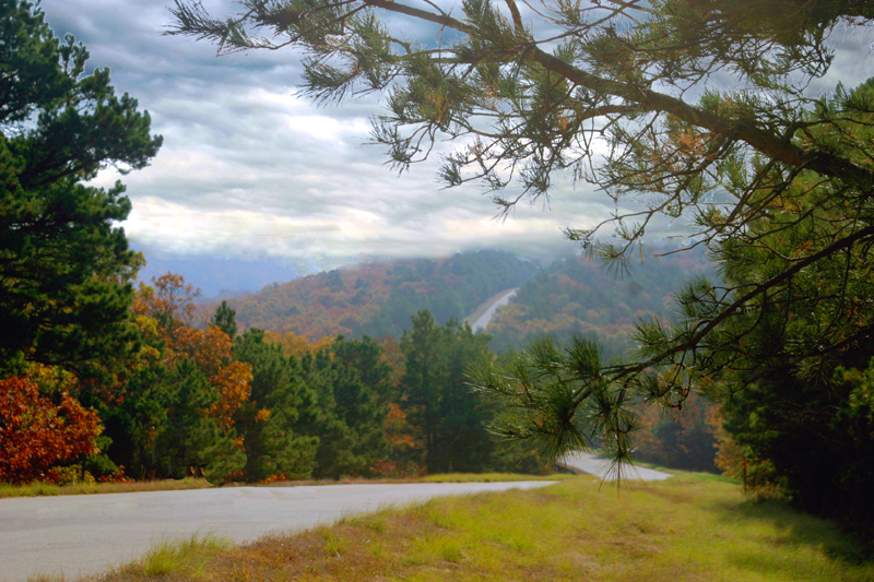Ouachita National Forest Oklahoma