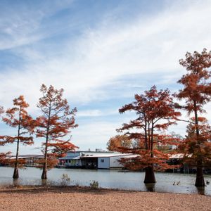 Visit Sequoyah Bay State Park in the fall for spectacular foliage. Photo by Lori Duckworth/Oklahoma Tourism.