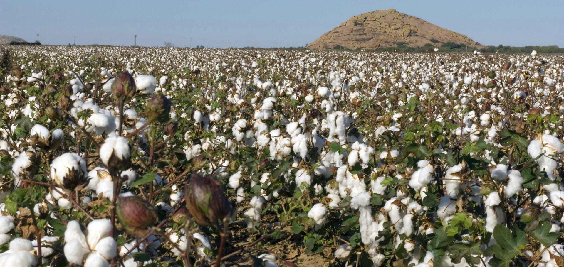 City of Altus Oklahoma's Official Travel & Tourism Site