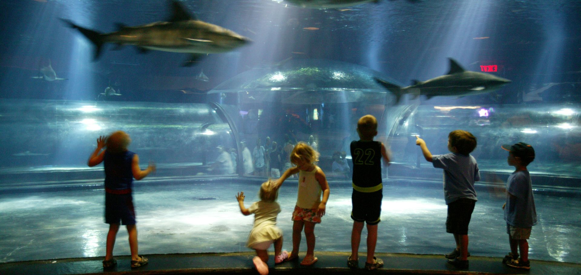 Oklahoma Aquarium of Oklahoma City