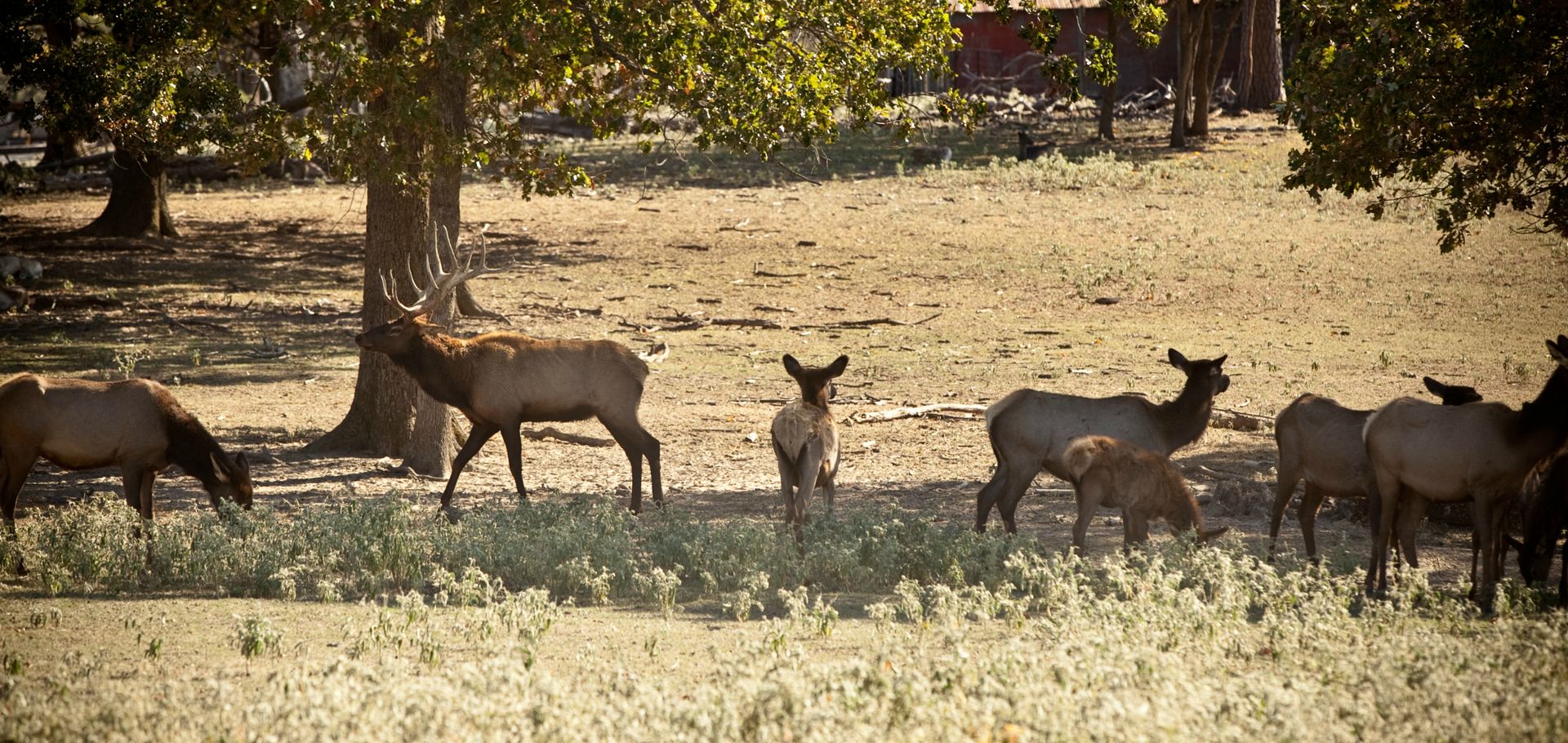 Oklahoma's Official Travel & Tourism Site