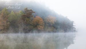 Video meeting background thumbnail