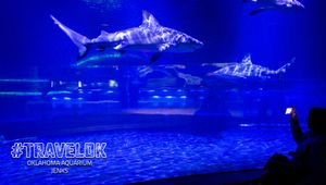 Video meeting background thumbnail