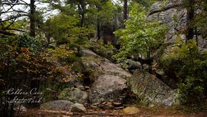 Video meeting background thumbnail