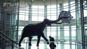 Video meeting background thumbnail