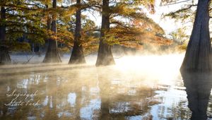 Video meeting background thumbnail