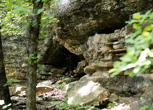 Join the RoadTripOK team on a whale of an adventure along Route 66 in Catoosa as they take a hike in the Redbud Valley Nature Preserve, explore the Blue Whale roadside attraction and discover some delicious secrets at Molly's Landing.