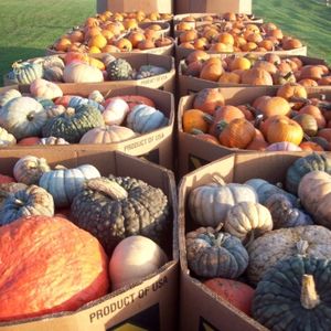 Charming Fall Destinations & Getaways in Oklahoma | TravelOK.com ...