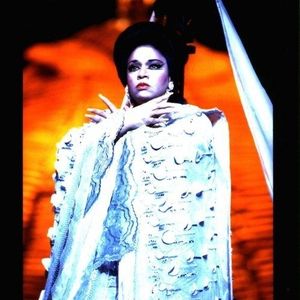 Since her debut as Micaela in Bizet's 1975 opera "Carmen," Enid native Leona Mitchell has played countless roles and won dozens of awards.  Here she plays Liu in Puccini's "Turandot."