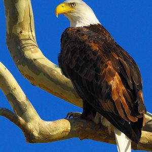 City of Grove | TravelOK.com - Oklahoma's Official Travel & Tourism Site