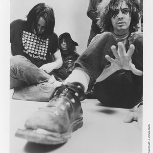 Fans of The Flaming Lips have enjoyed seeing the band grow in popularity since they formed in Oklahoma City in 1983.