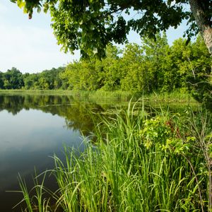 Take a canoe out on the serene waters of Lake Raymond Gary after spending the night camping at a primitive site at Raymond Gary State Park. Photo by Kim Baker.
