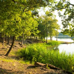Plan a picnic near the shores of Lake Raymond Gary during your stay at Raymond Gary State Park. Photo by Kim Baker.