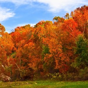 Fall colors at their peak along Spavinaw Creek in Spavinaw.