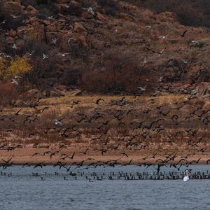Great Plains State Park is a great place for bird watching as flocks migrate across the area. Photo by Stephen Ofsthun.