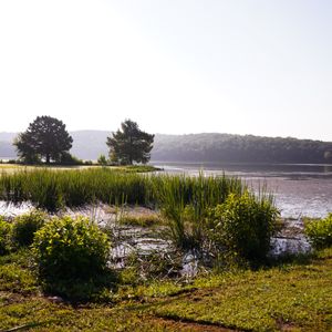 Tucked away in the hills of Eastern Oklahoma, Greenleaf State Park offers spectacular scenery and abundance of scenic lake views.