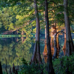 Explore the wooded trails and make your way along the pristine waters of Broken Bow Lake or Mountain Fork River during an adventure to Beavers Bend State Park.