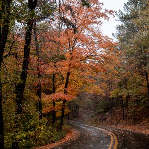 Bring your camera on your journey to Beavers Bend State Park and capture some of the best fall foliage in the state.