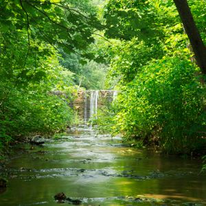 Drink in tranquility and surround yourself with enchanting scenery during an adventure to Natural Falls State Park.