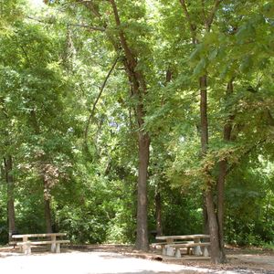 A peaceful picnic area at Twin Bridges.