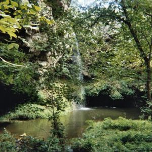 Natural Falls State Park is a lush green oasis beneath the cascade. Located near West Siloam Springs in northeastern Oklahoma, the park features gorgeous scenery for visitors to enjoy.