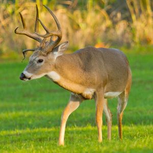 lake thunderbird state park events