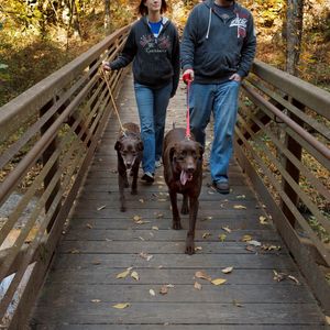 Natural Falls State Park welcomes leashed pets so everyone in the family can enjoy a vacation to beautiful West Siloam Springs.