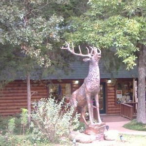 Beavers Bend Wildlife Museum & Cabin Rentals | TravelOK.com - Oklahoma