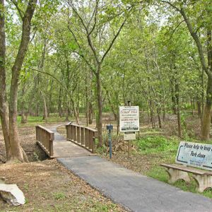 Take a relaxing hike on the nature trail. Begin at the trailhead and wind your way back around.