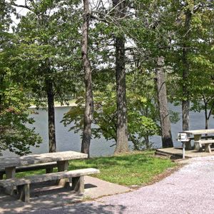Enjoy a picnic lunch by the lake under the shade trees.
