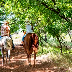 Bring your horse to Foss State Park and enjoy a multi-purpose trail for horseback riding. Photo by Lori Duckworth/Oklahoma Tourism.