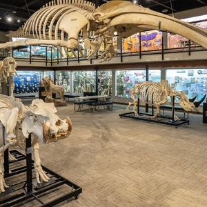 Skeletons: Museum of Osteology | TravelOK.com - Oklahoma's Official ...