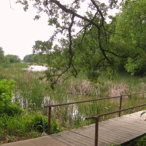 Lake Murray Hiking Trails Lake Murray State Park Trail System | Travelok.com - Oklahoma's Official  Travel & Tourism Site