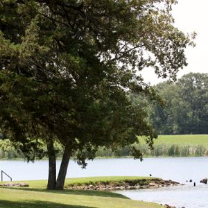 A swimming area at Raymond Gary State Park.