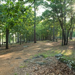 Step into the woods and immerse yourself in nature at McGee Creek State Park. Photo by Kim Baker.