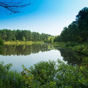 Walk along the shoreline near the Potapo Campground at McGee Creek State Park. Photo by Kim Baker.