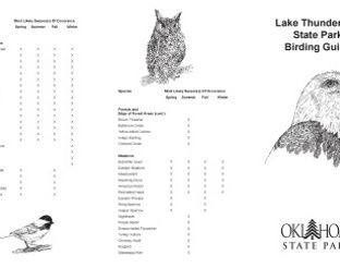 View Lake Thunderbird Birding Guide