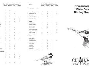 Roman Nose Birding Guide