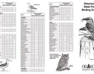 Sequoyah Birding Brochure