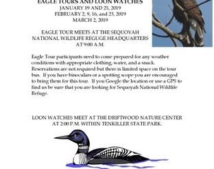 Eagle Tours & Loon Watches