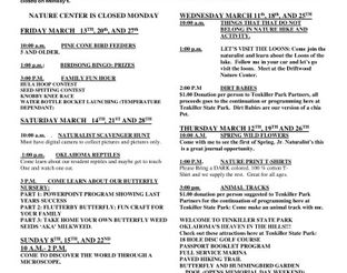 Spring Break Actvities