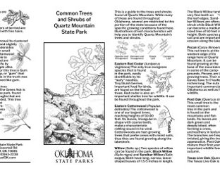 Common Tree & Shrub Guide