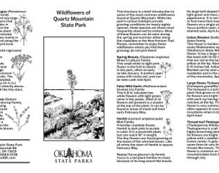 Native Wildflower Guide
