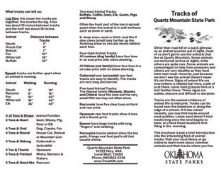 Wildlife Track ID Brochure