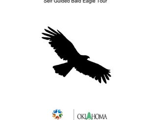 Self-Guided Bald Eagle Tour Packet