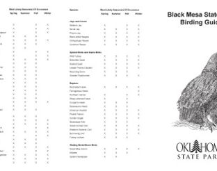 View Black Mesa Birding Guide