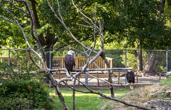 Tulsa Zoo