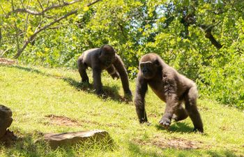 Oklahoma City Zoo & Botanical Garden