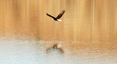 Bird Watching at Black Mesa State Park
