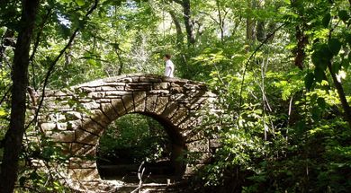 Hit the Trail - Beginner-Level Trails
